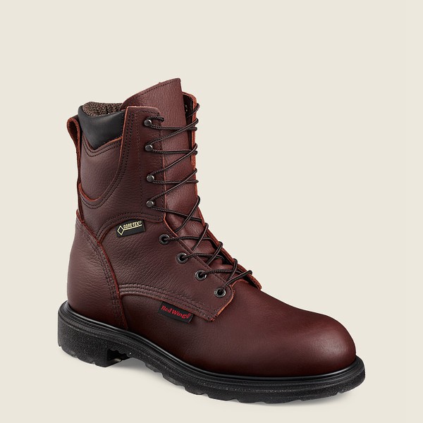 Botas de Trabajo Red Wing Hombre Vino - Supersole® 2.0 - 8-Inch Insulated Waterproof Soft Toe - 209-